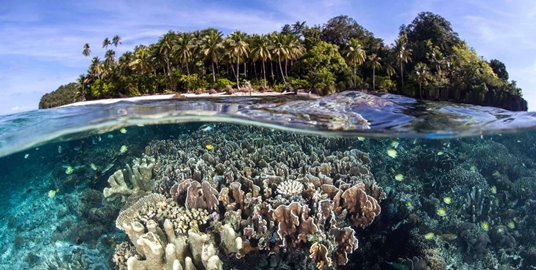 Pisang island